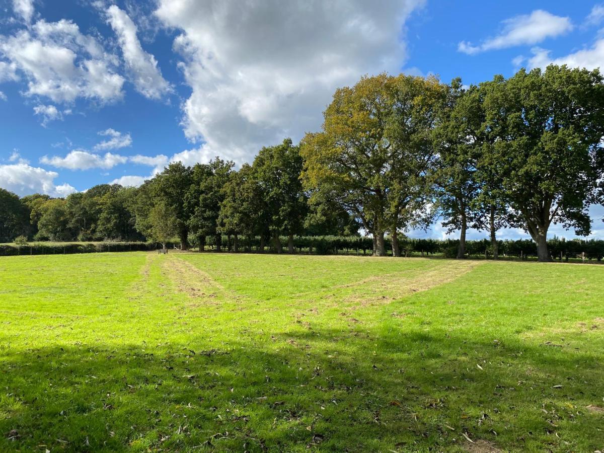 The Hop Barn Villa Staplehurst ภายนอก รูปภาพ